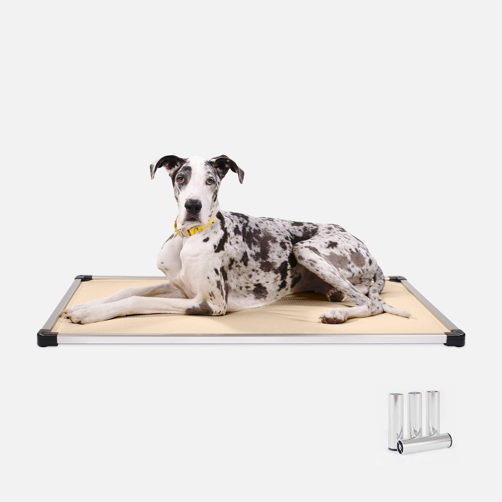 Chew Proof Armored™ Padded Dog Crate Bed - Open Box