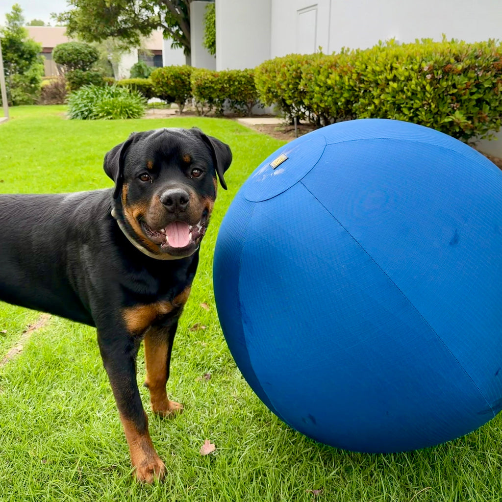 K9 Play™ Herding Ball Dog Toy