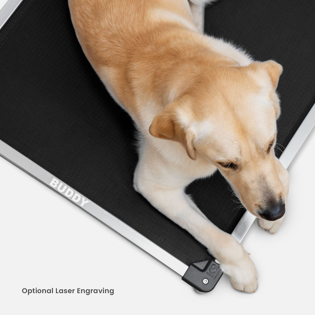 Chew Proof Armored™ Padded Dog Crate Bed - Open Box