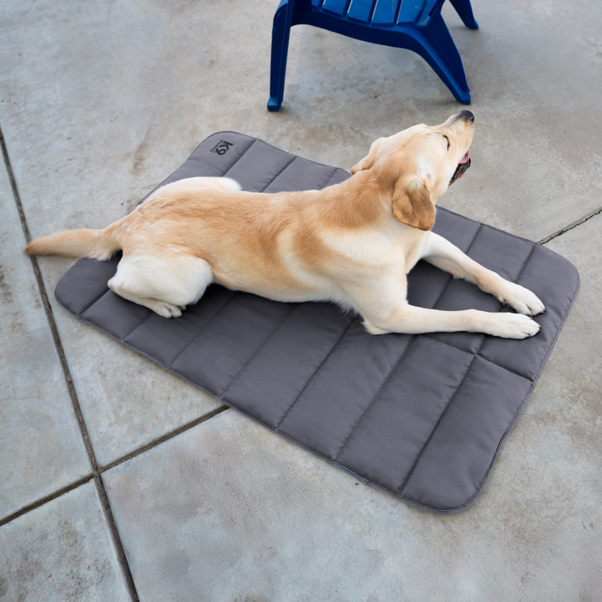 Tough Ripstop™ Dog Travel Mat