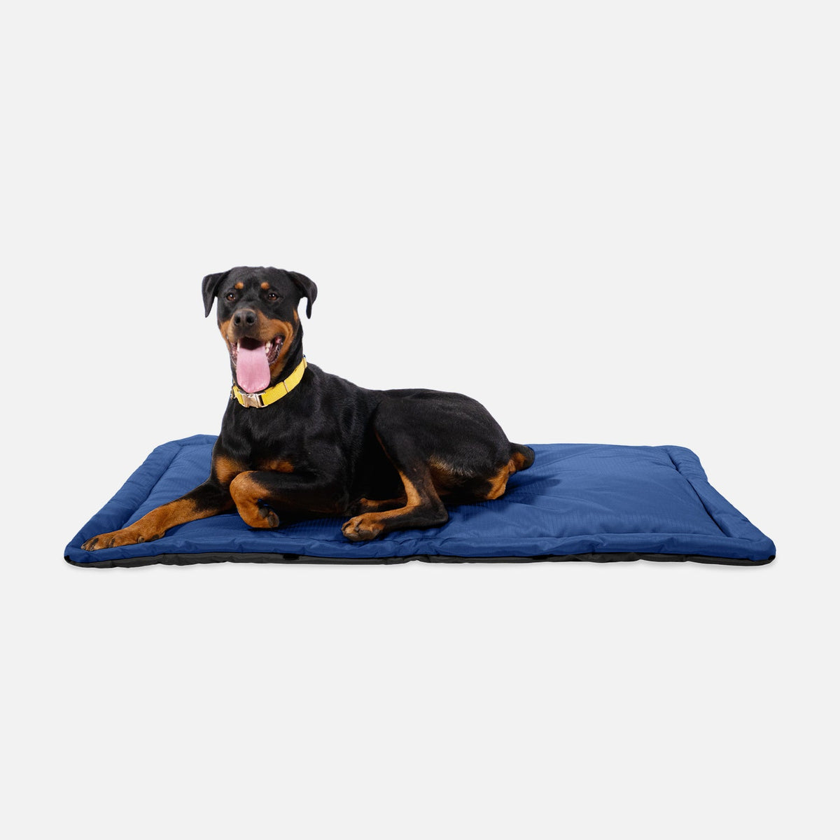 Tough Ripstop™ Dog Crate Pad - Open Box