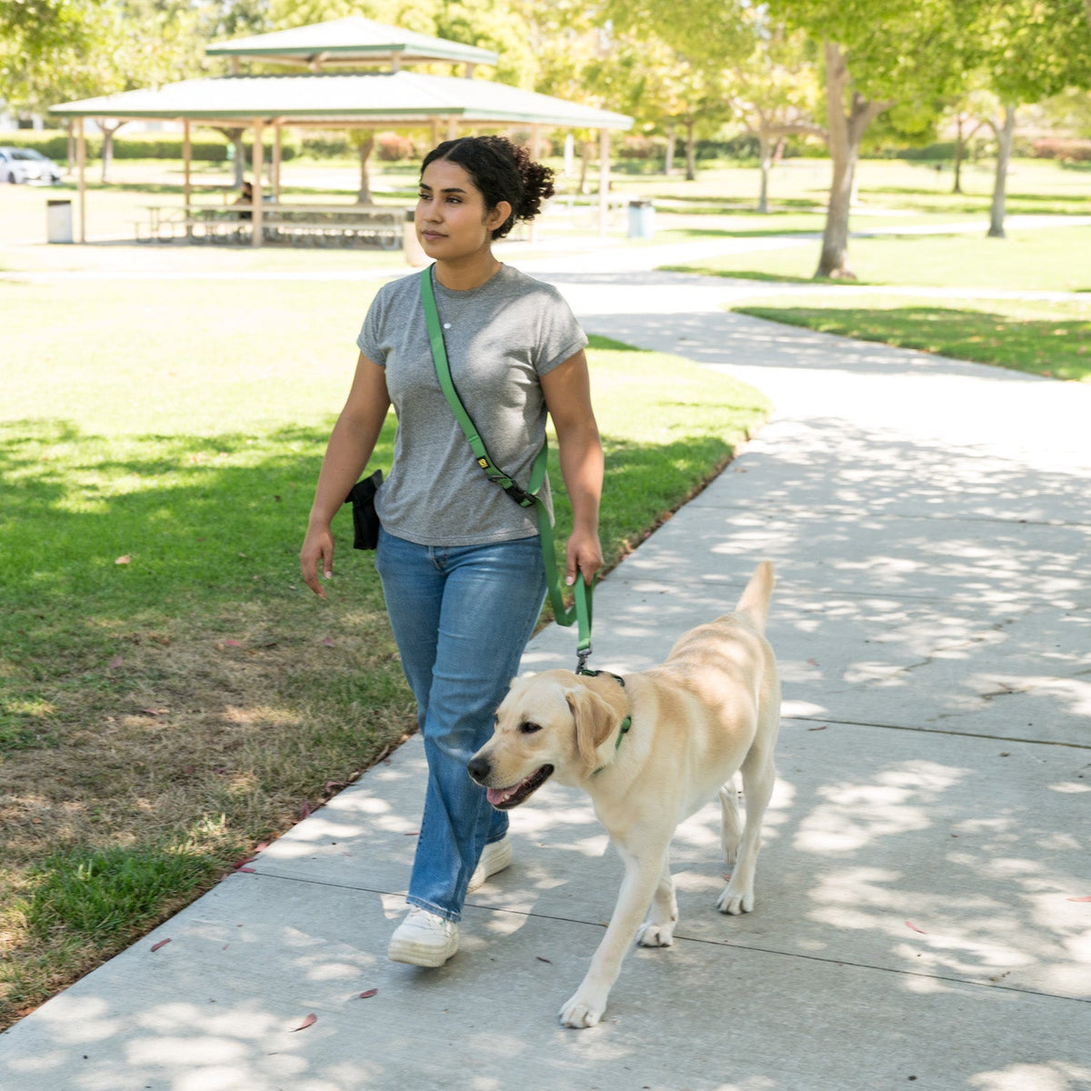 K9 Everyday™ Dog Leash