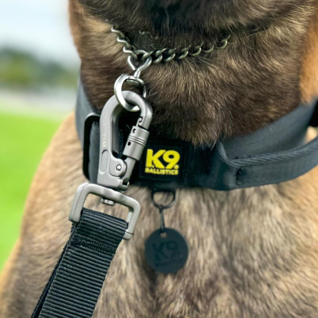 K9 Everyday™ Dog Leash